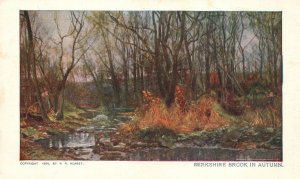 Vintage Postcard Berkshire Brock In Autumn Foliage Trees Shadowing The River