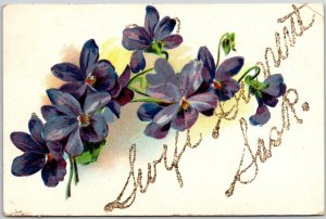 1910's Flower Violets Greetings And Wishes Card Posted? Postcard