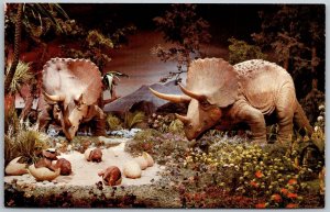 DISNEYLAND Anaheim California Postcard Primeval World Triceratops With Hatchling