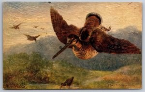 A/S Eileen Drummond~Flying Woodcock~British Game Bird~TUCK Oilette~c1910