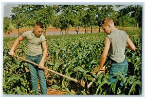 c1950 Boys Ranch Town Gardening Crops Turner Turnpike Oklahoma City OK Postcard