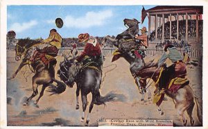 Cowboy Race with Wild Bronchos Frontier Days Cheyenne, Wyoming USA