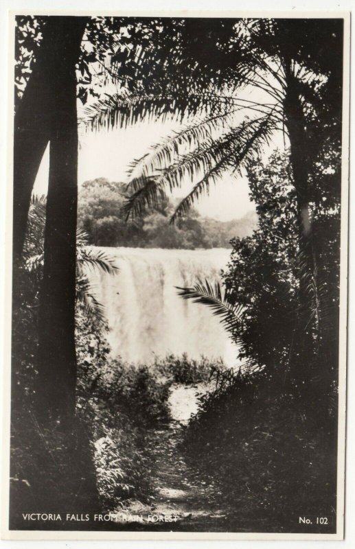 Zambia; Victoria Falls From Rain Forest, 102 RP PPC, By Salmon, Unused, c 1930's 