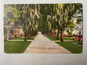 Vintage Postcard 1944 Beautiful Benachi Avenue Biloxi Mississippi