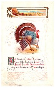 Thanksgiving    Turkey  ,Poem