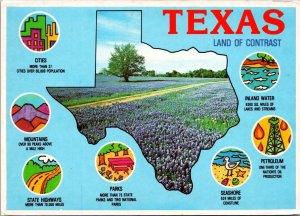 Texas Land Of Contrast Multi View