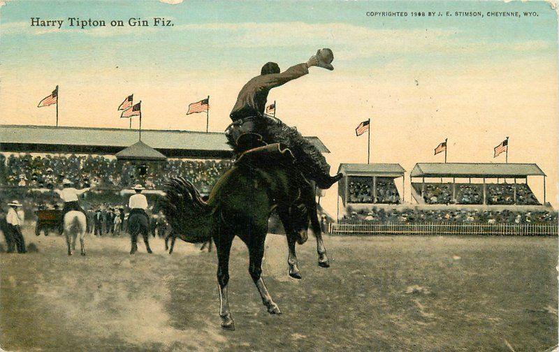 C-1910 Gin Fiz Harry Tipton Horses & Flag Stimson postcard 10604 rodeo