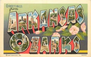 Arkansas Ozarks large letters multi View SS News Teich Postcard 22-8379