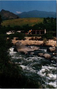 USA Best Western Holiday Lodge Three Rivers California Chrome Postcard 09.99