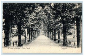 c1910s Trinity College, Lime Walk Oxford England EN Unposted Antique Postcard 