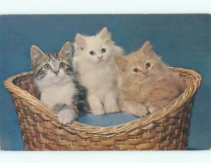 Unused Pre-1980 THREE KITTEN CATS IN WICKER BASKET k8422