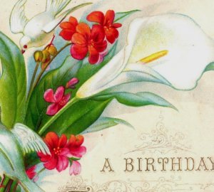 1880s Victorian Birthday Card White Doves Calla Lily Fab! #6C