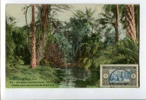 3079868 WESTERN AFRICA Senegal Oasis aux environs de Dakar RPPC