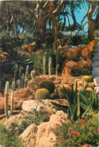 Postcard Flowers nature natural  jardin exotique cactus  red rocks stone