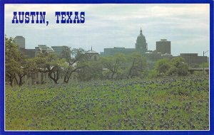 State Capitol - Austin, Texas TX  