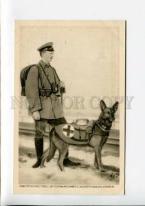 3159662 WWI German Shepherd Dog RED CROSS Medical dog in full