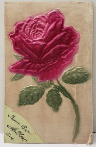 Embossed Silk Rose Allentown Pa udb Postcard E17