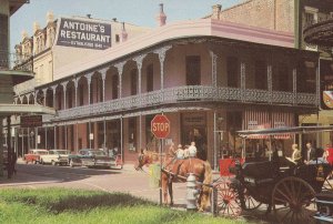 Antoines Restaurant St Louis Street New Orleans Postcard