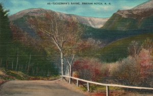 Vintage Postcard 1948 Tuckerman's Ravine Pinkham Notch New Hampshire The Bisbee