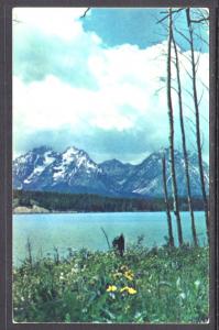 Teton Mountains,Grand Teton National Park