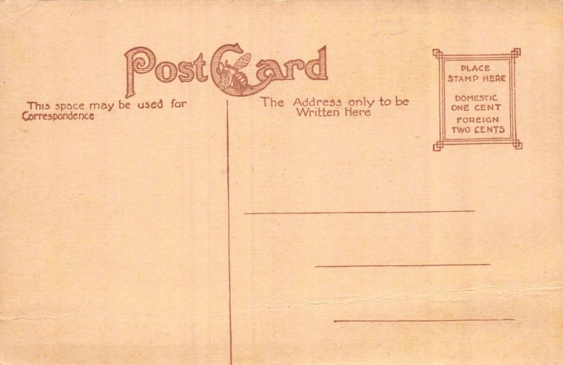 Postcard Denny Hall Fire Union Engine in Service in Carlisle Pennsylvania