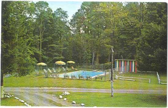 Pool Scene Shady Lawn House Poconos Dingmans Ferry PA Chrome