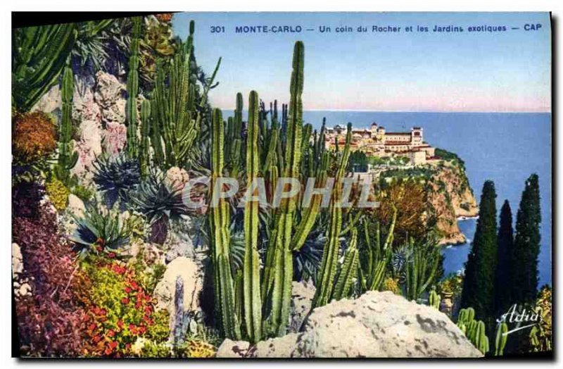 Old Postcard Monta Carlo corner of the Rock and exotic gardens