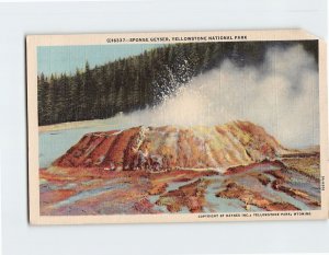 Postcard Sponge Geyser Yellowstone National Park Wyoming USA