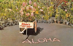 Hilo Hawaii Kong's Floraleigh Gardens Orchid Gardens Vintage Postcard AA44593