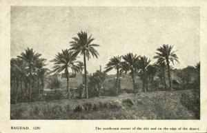 iraq, BAGHDAD BAGDAD, North-East Corner on Edge of Desert (1910s) Postcard