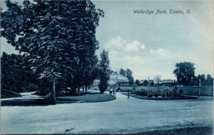 Postcard Ohio Lucas County Toledo Walbridge Park ~1910 B8