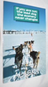 Sled Dog Team Alaska Humor Postcard Arctic Circle Enterprises Inc. ACE-946