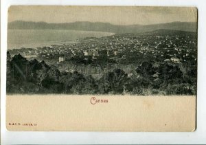 3151755 France CANNES Vintage postcard