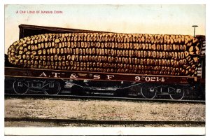 1909 A Car Load of Kansas Corn, Exaggerated Subject Postcard