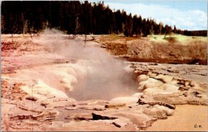 Yellowstone National Park Oblong Geyser Crater