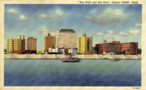 Sea Wall and Skyline - Corpus Christi, Texas