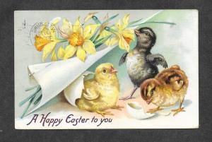 1908 Tuck's Postcard Easter Chicks Streetcar RPO Cancel!