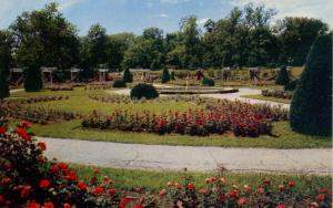 KS - Kansas City. Jacob L. Loose Memorial Park, Rose Garden