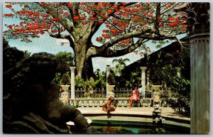 Clearwater Florida 1960s Postcard Kapok Tree Inn Patio