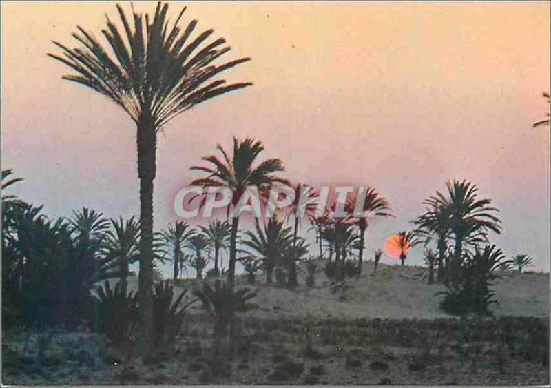 Postcard Modern Tunisia Sun Sunset