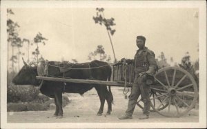 Black Americana Man & Oxen Cart Pinehurst NC c1910 Real Photo Postcard