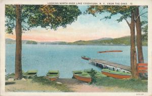 Lake Cossayuna Looking North from The Oaks - Washington County NY - pm 1939  WB