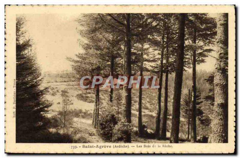 Old Postcard St. Agreve The Wood of the Reche