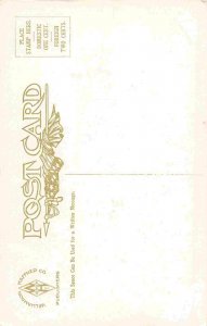 Native American Horse Rider Waiting 1910c postcard