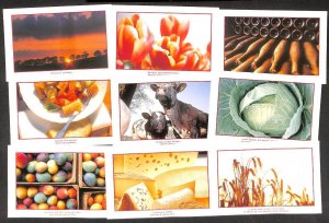 Set of 10 scenic advertising postcards Belgium Woluwe-Saint-Lambert