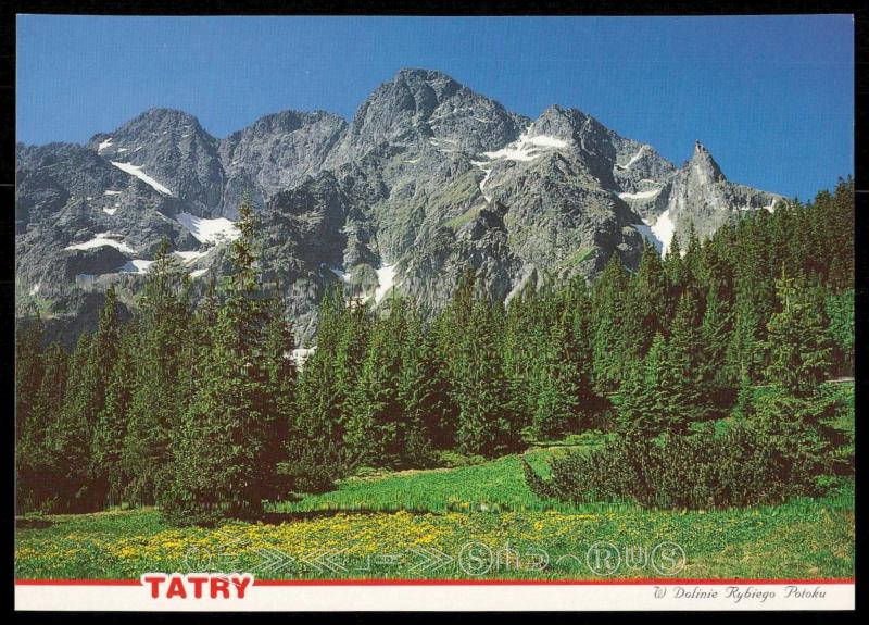 TATRY - W Doline Rybiego Potoku