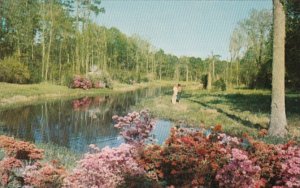 Mississippi Biloxi Lagoon At Beauvoir Jefferson Davis Shrine