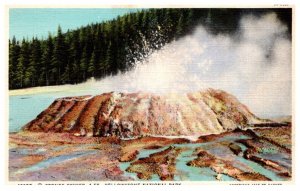 Wyoming  Yellowstone Park  Sponge Geyser