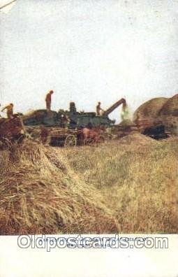 Harvesting Wheat Farming, Farm, Farmer  1910 