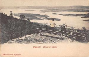 Ringerike Norway Kongens Udsigt Birds Eye View Antique Postcard J76387